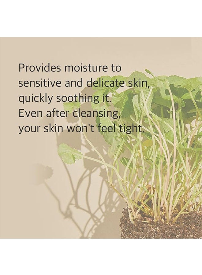 mixsoon Centella Cleansing Foam 150 ml, Low pH Calming, Soothing and Moisturization Skin, Purifying Surface of Skin, Facial Cleanser, Moisturization Face Wash - Image 4