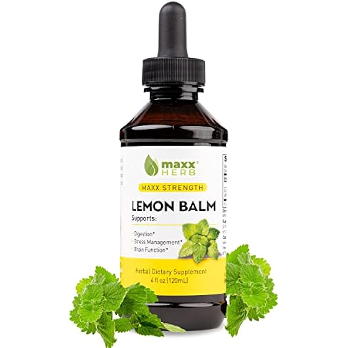 Maxx Herb Lemon Balm Extract - Max Strength Liquid Tincture Absorbs Better Than Capsules or Tea, for Nervous System Support, & Stress Management - Alcohol Free - 4 Oz Bottle (60 Servings) - Image 1