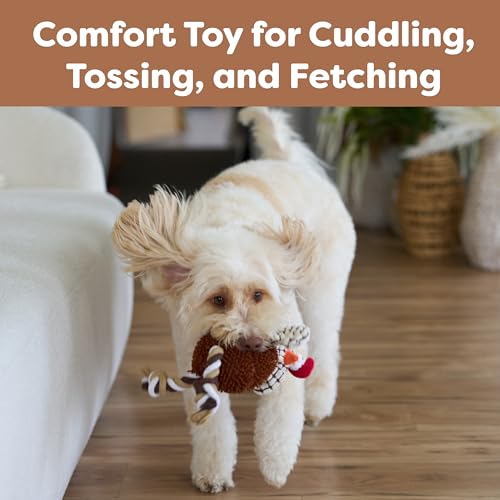 SPOT Gigglers Chicken Dog Toy with Giggle Sound, Textured Plush Tug Toy with Rope Legs, 12" for Small and Medium Dog Breeds - Image 3