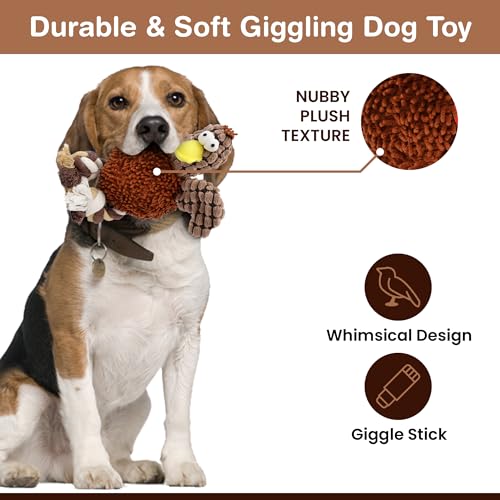 SPOT Gigglers Chicken Dog Toy with Giggle Sound, Textured Plush Tug Toy with Rope Legs, 12" for Small and Medium Dog Breeds - Image 4