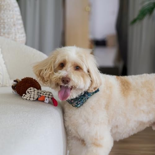 SPOT Gigglers Chicken Dog Toy with Giggle Sound, Textured Plush Tug Toy with Rope Legs, 12" for Small and Medium Dog Breeds - Image 5