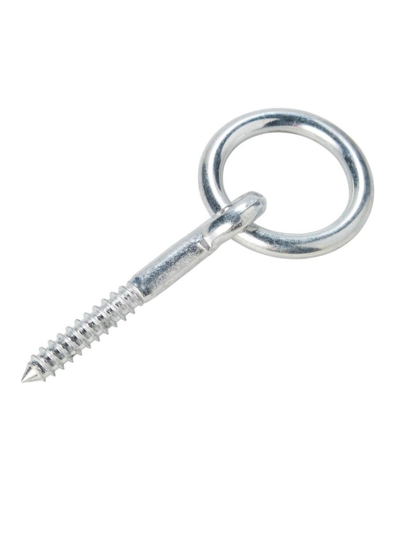 ACE - Zinc Plated Steel Ring Bolt 10 X 55 Mm - Image 1
