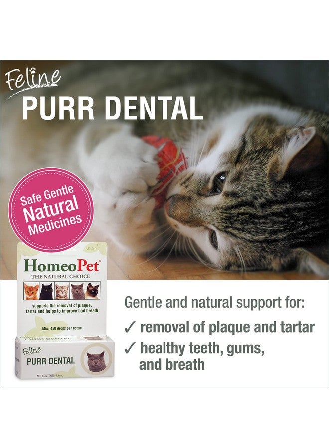 HomeoPet Feline Purr Dental, Safe and Natural Tooth and Dental Care for Cats, Cat Dental Care, 15 Milliliters - Image 2
