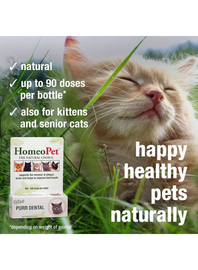 HomeoPet Feline Purr Dental, Safe and Natural Tooth and Dental Care for Cats, Cat Dental Care, 15 Milliliters - Image 4
