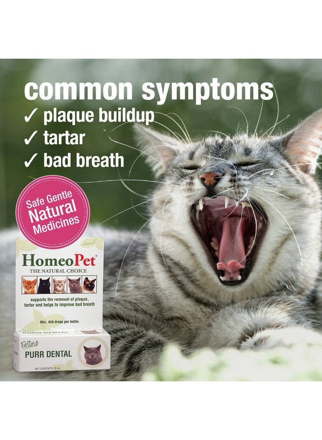 HomeoPet Feline Purr Dental, Safe and Natural Tooth and Dental Care for Cats, Cat Dental Care, 15 Milliliters - Image 3