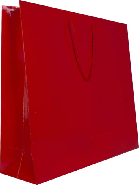 Alsepeteavm 42X38X12 Cardboard Bag 10LU -Red