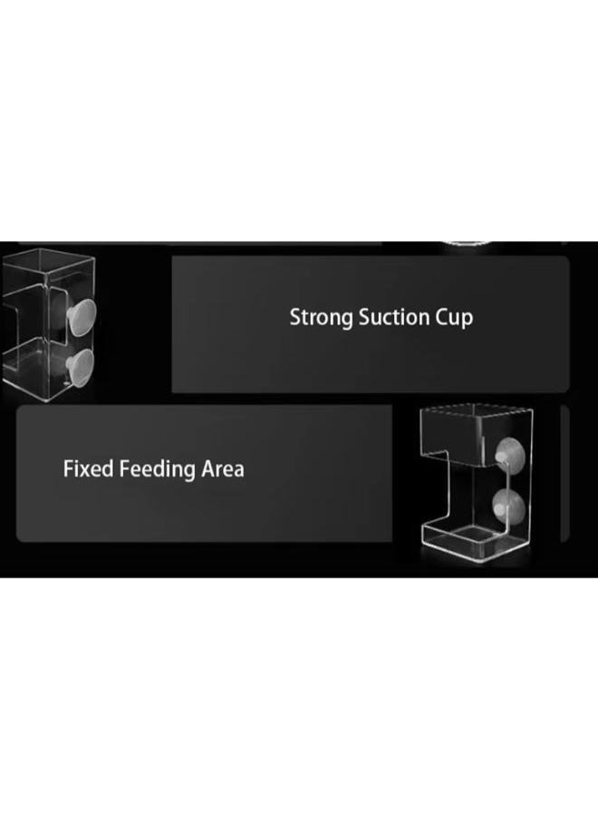 Multifunctional Acrylic Feeder for Fish and Shrimps