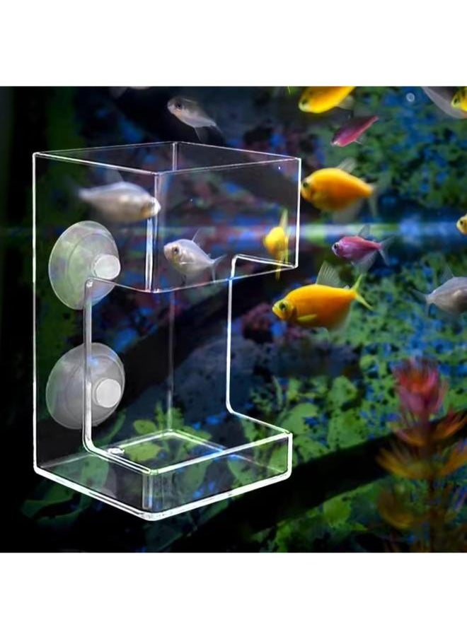 Multifunctional Acrylic Feeder for Fish and Shrimps