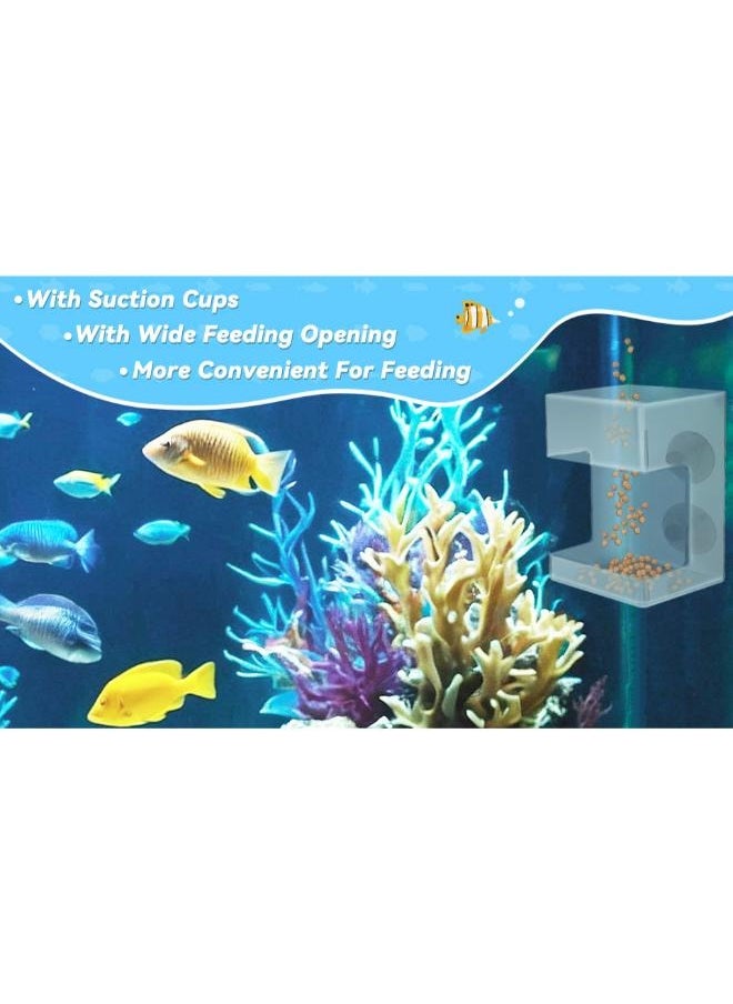 Multifunctional Acrylic Feeder for Fish and Shrimps