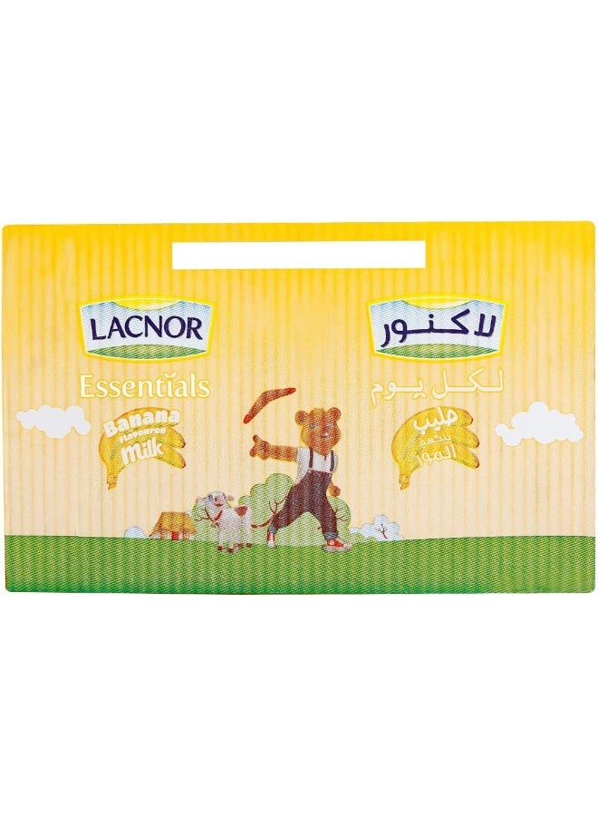Lacnor Essentials Banana Flavoured Milk - Image 2