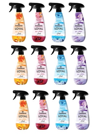 Loyal Air Freshener 450ml Pack Of 12 Assorted - pzsku/Z5849D51B9C62216DA074Z/45/_/1668173456/d7230d61-673b-408c-88fc-9bdd6eaefd5f