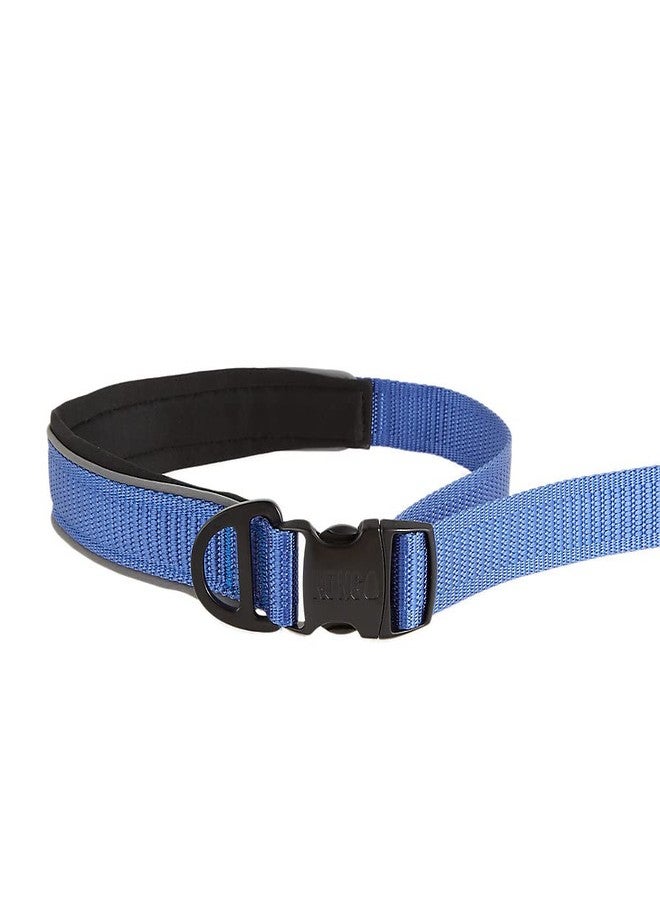 كونج حبل كلاب مطاطي عاكس للضوء وممتص للصدمات من KONG، بطول 6 أقدام (أزرق) - Image 4