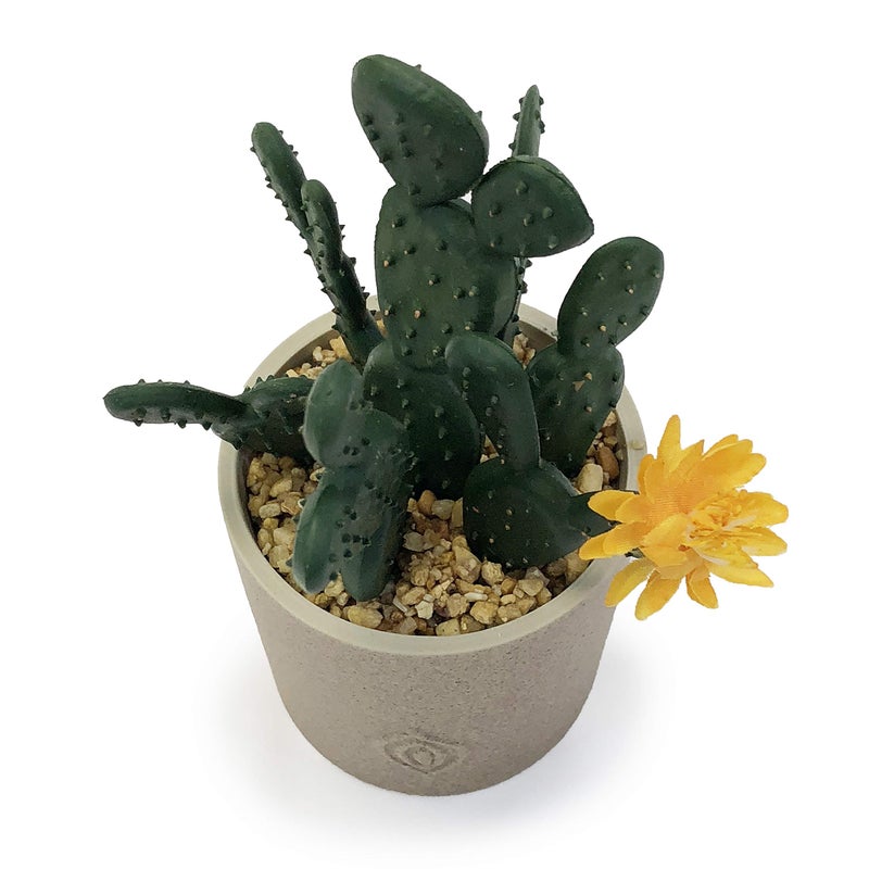 allgala allgala Small Desktop Artificial Succulent Plant with Natural Clay Pot  - Image 1