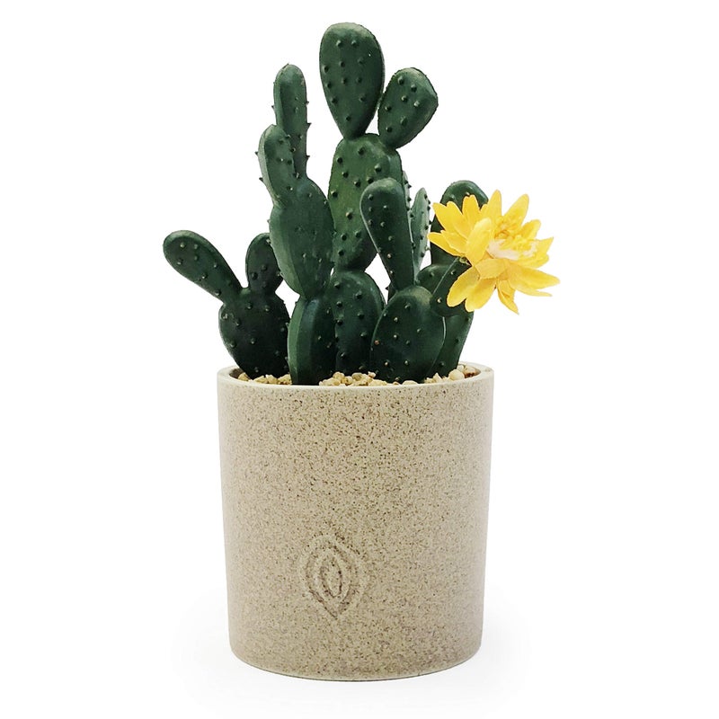 allgala allgala Small Desktop Artificial Succulent Plant with Natural Clay Pot  - Image 2