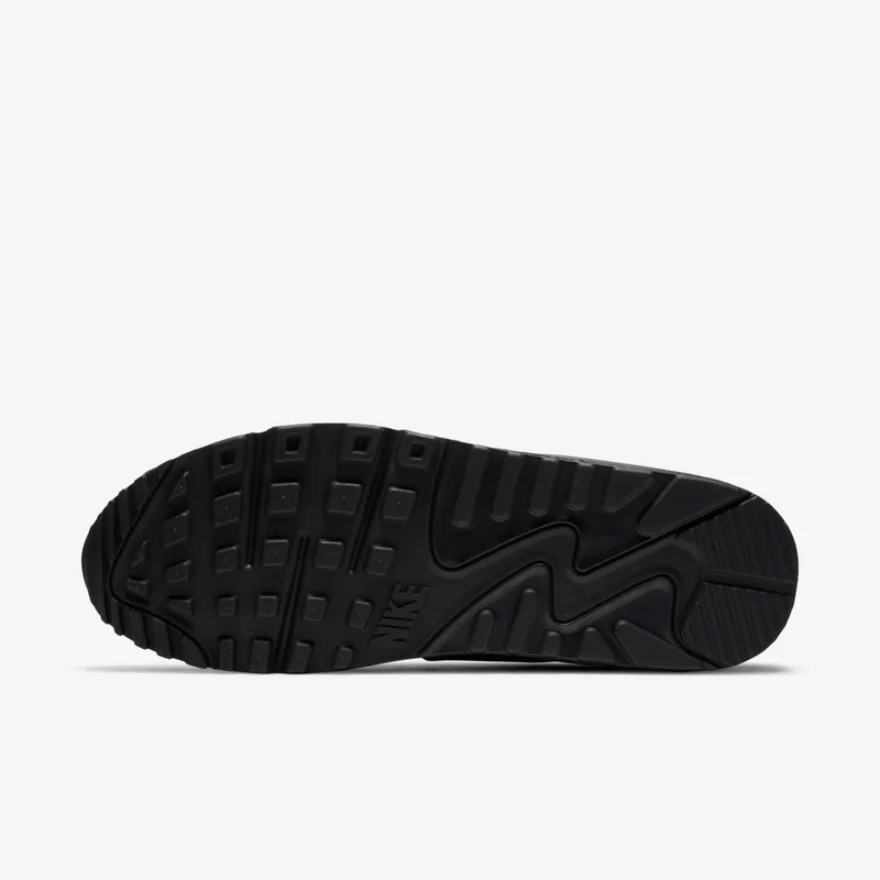 Nike Men's Air Max 90 LTR Shoes