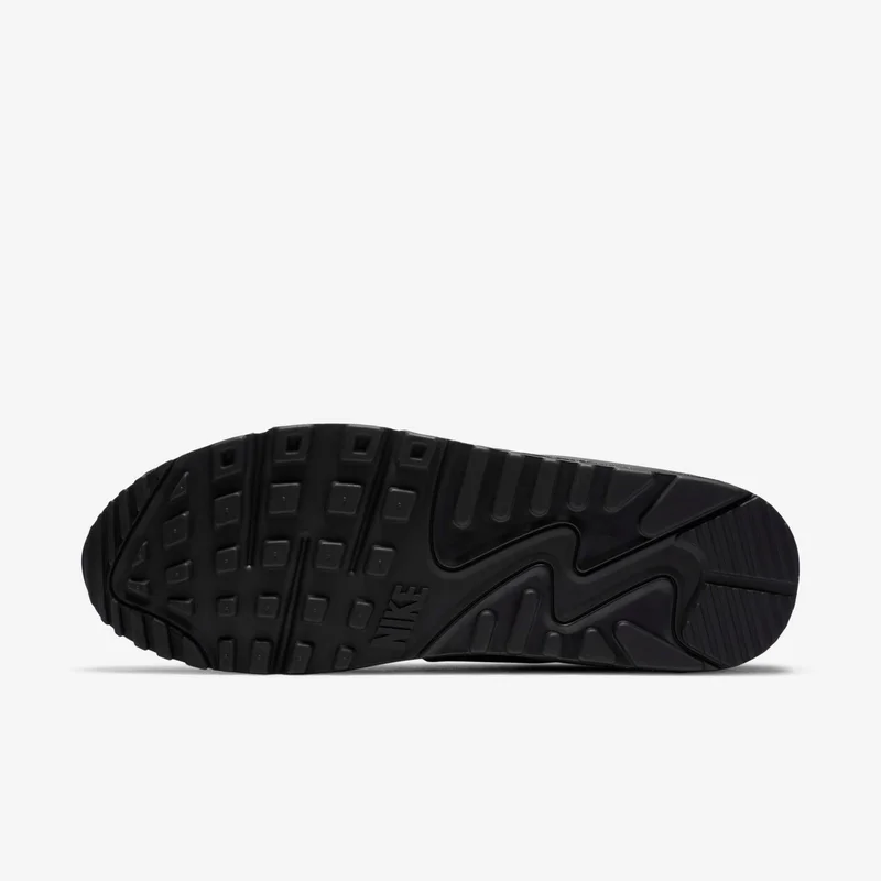 Nike Men's Air Max 90 LTR Shoes