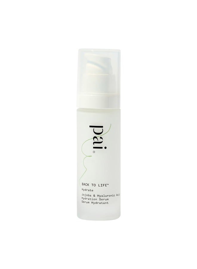 Pai Skincare Back To Life: Jojoba + Hyaluronic Acid Organic Hydration Serum | Natural, Vegan, Sensitive Skincare (1 fl oz | 30 ml) - Image 1