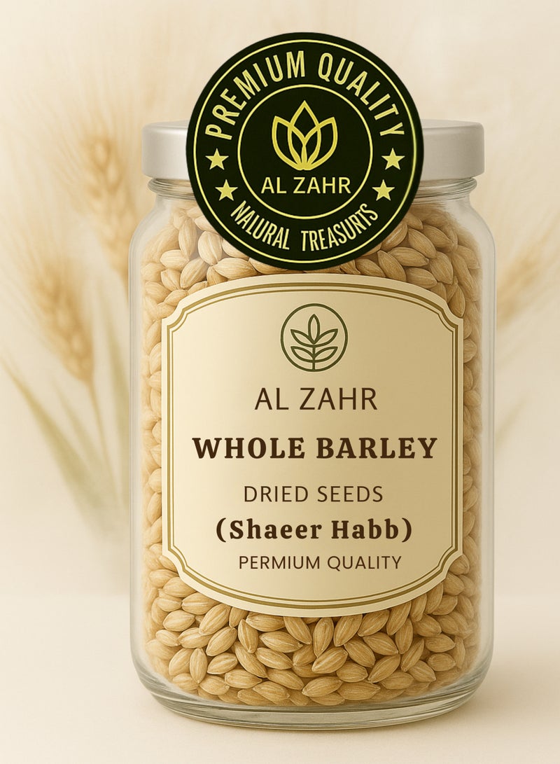 زهر بذور الشعير الكاملة (شعير حب) – هورديوم فولغاري | حبوب شعير مجففة طبيعية فاخرة | نقية 100% للاستخدام في البستنة والزراعة وعلم النبات والأعشاب. - Image 2