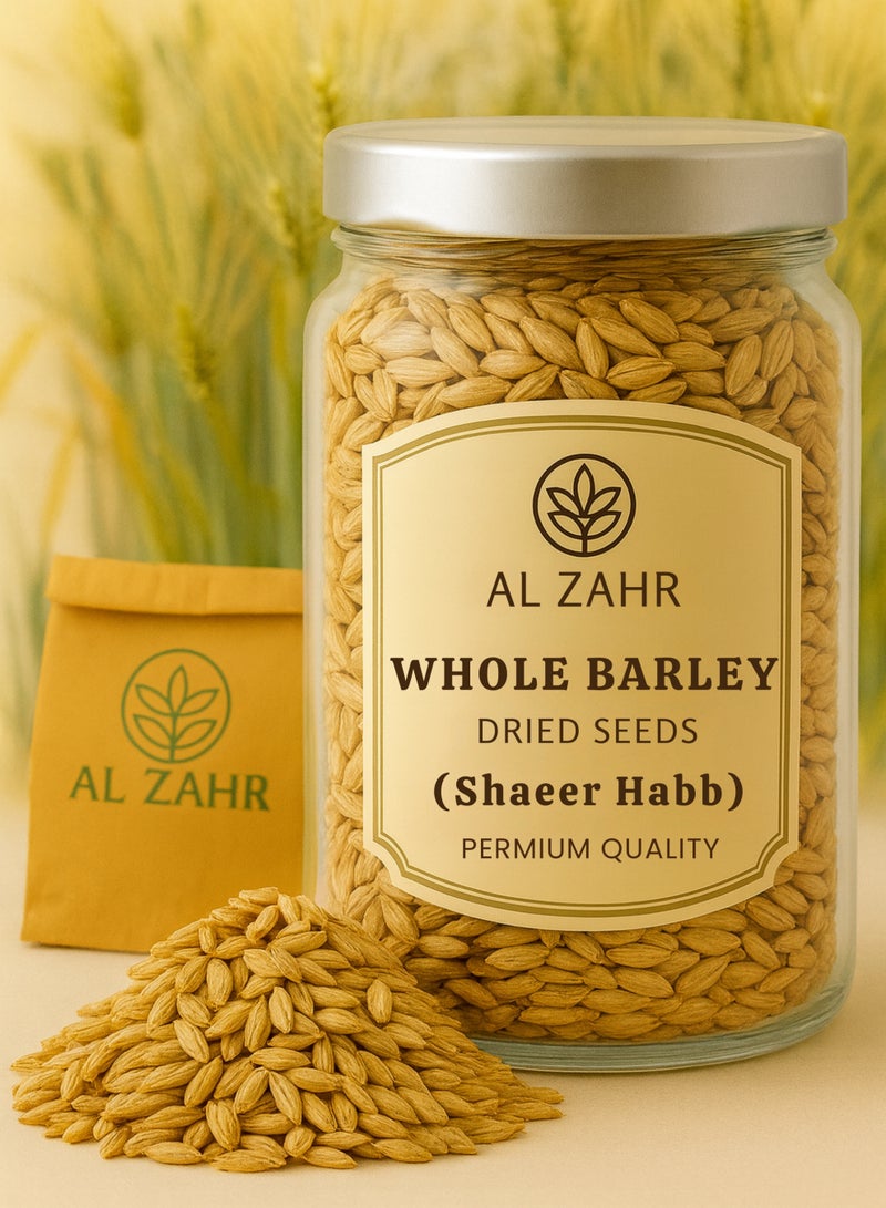 زهر بذور الشعير الكاملة (شعير حب) – هورديوم فولغاري | حبوب شعير مجففة طبيعية فاخرة | نقية 100% للاستخدام في البستنة والزراعة وعلم النبات والأعشاب. - Image 1