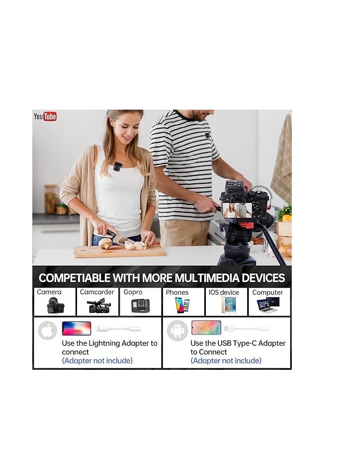 LENSGO 348C 1V2 WIRELESS MICROPHONE 2.4G WIRELESS LAPEL MIC
