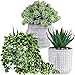 Winlyn Winlyn Set of 3 Assorted Small Potted Succulent Plants Fake Aloe String of Pearls Hops Succulents in Gray Geometric  - Image 2