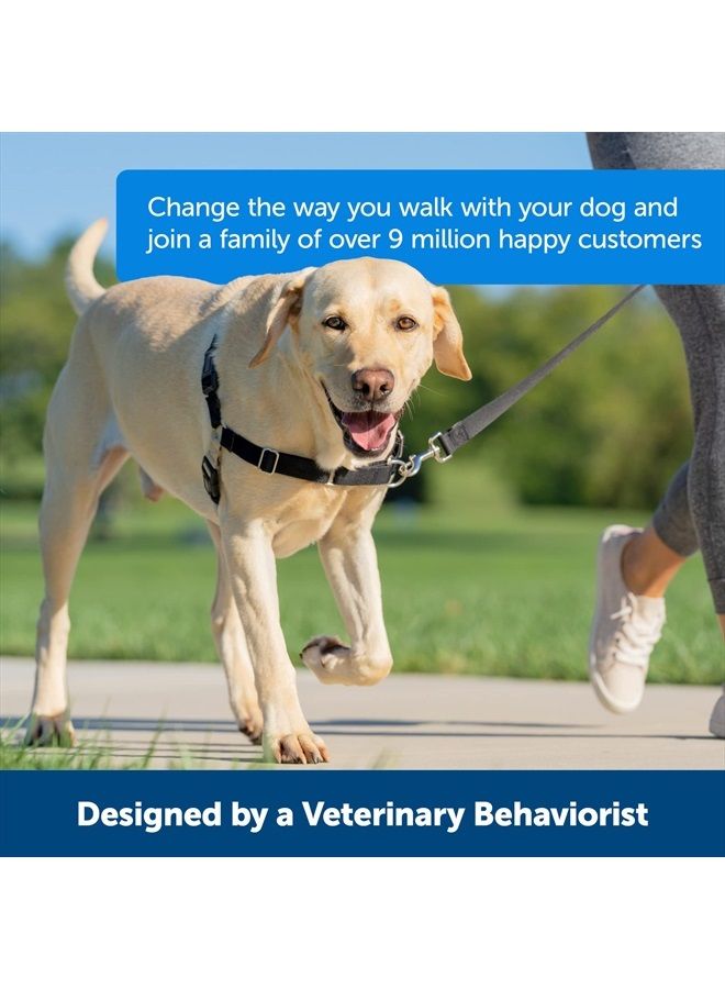 PetSafe Easy Walk No-Pull Dog Harness - The Ultimate Harness to Help Stop Pulling - Take Control & Teach Better Leash Manners - Helps Prevent Pets Pulling on Walks - X-Large, Black/Silver - Image 3
