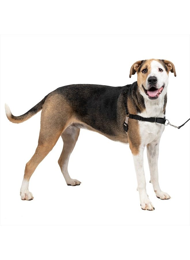 PetSafe Easy Walk No-Pull Dog Harness - The Ultimate Harness to Help Stop Pulling - Take Control & Teach Better Leash Manners - Helps Prevent Pets Pulling on Walks - X-Large, Black/Silver - Image 1