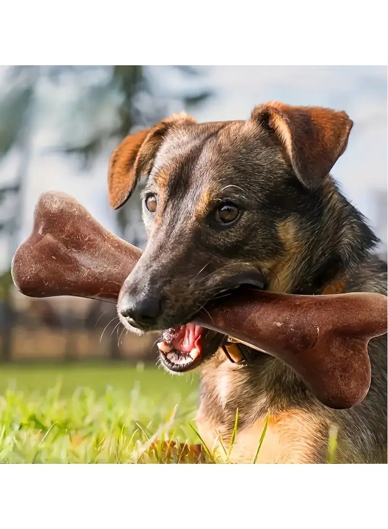 جلوسكي لعبة مضغ الكلاب على شكل عظام بنكهة اللحم البقري - لعب متين وتفاعلي لجميع السلالات - مثالية لصحة الأسنان والترفيه للكلاب الصغيرة والكبيرة - Image 5
