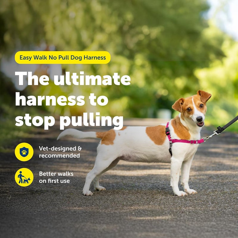 PetSafe Easy Walk No-Pull Dog Harness - Small, Red/Black - Ultimate Control for Better Leash Manners - Image 2