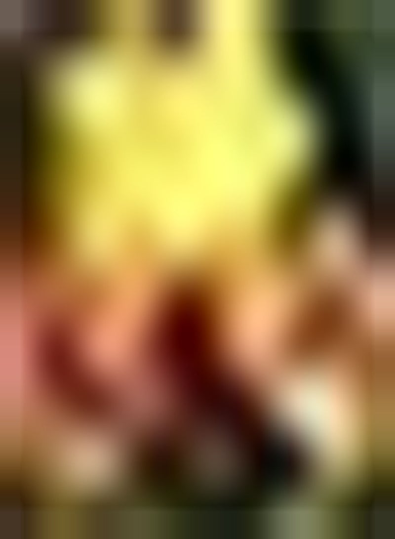 GGOOT 10pcs Mix irisbollen gebruikt ALS ingemaakte keuze decoratie verbluffende bloemkleur en vorm prachtig landschap in de tuin mooie bloemen snijbloemen - Image 1