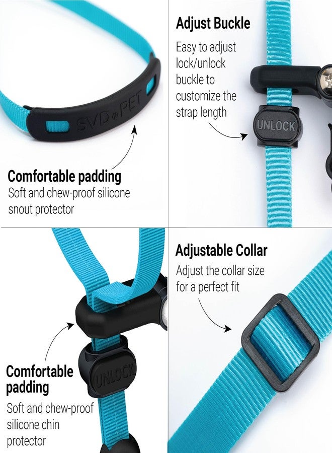 SVD.PET No-Pull Dog Headcollar for Easier Walks, Chew-Proof Protector to Increase Comfort, Simple Design, Easy to Wear and Adjust (Medium Size for Small and Medium Size Dogs) - Image 2