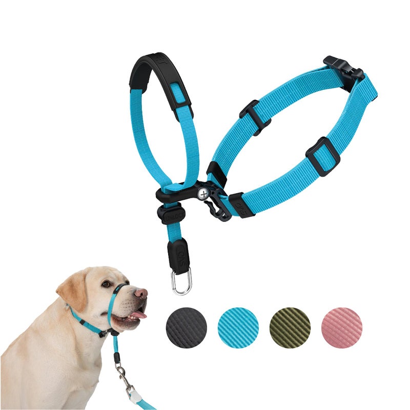 SVD.PET No-Pull Dog Headcollar for Easier Walks, Chew-Proof Protector to Increase Comfort, Simple Design, Easy to Wear and Adjust (Medium Size for Small and Medium Size Dogs) - Image 1