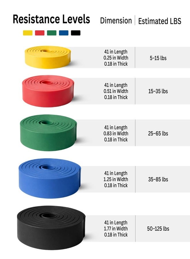THORZA Resistance Bands Set – 5 Stackable Levels Up to 150 lbs, Workout Bands with Handles, Door Anchor & Carry Bag, Latex-Free TPE Exercise Bands – Full Body Home Gym (7-Piece Set) - Image 2
