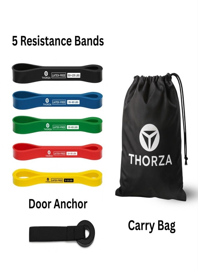 THORZA Resistance Bands Set – 5 Stackable Levels Up to 150 lbs, Workout Bands with Handles, Door Anchor & Carry Bag, Latex-Free TPE Exercise Bands – Full Body Home Gym (7-Piece Set) - Image 4