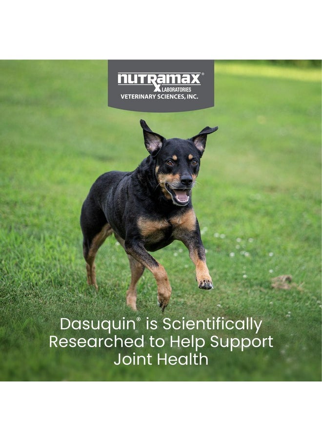 Nutramax Laboratories Nutramax Dasuquin Joint Health Supplement for Small to Medium Dogs - With Glucosamine, Chondroitin, ASU, Boswellia Serrata Extract, Green Tea Extract, 150 Chewable Tablets  - Image 2