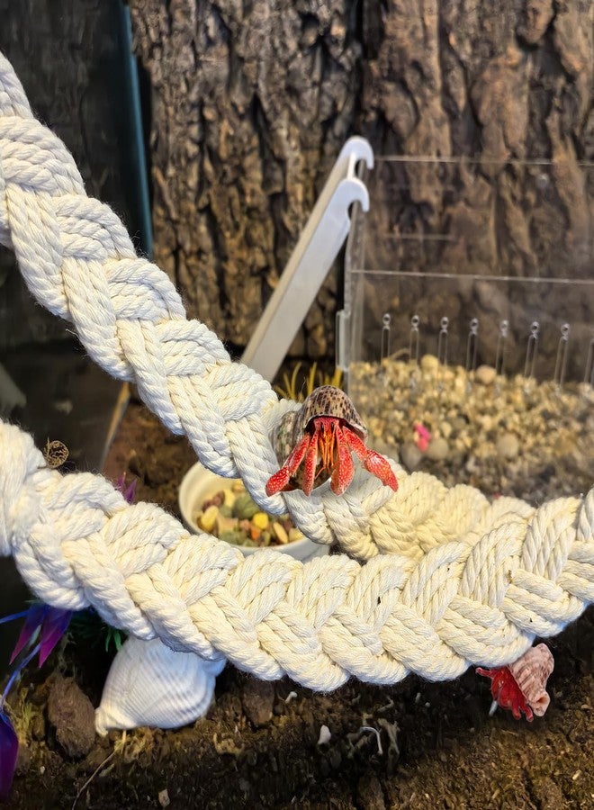 kathson 3pcs Hermit Crab Climbing Toys, Hermit Crab Climbing Rope Ladder with 10 Hook Suction Cup Reptile Tank Terrarium Accessories for Lizards Snakes Geckos (Red) - Image 4