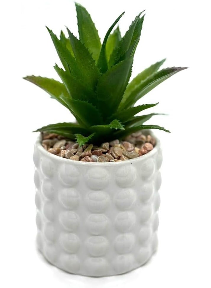 Artificial Succulent Plant in White Ceramic Dimpled Pot with Decorative Stones