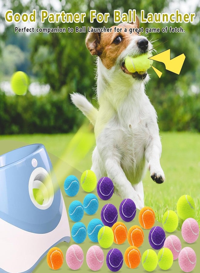 Magicorange مجموعة ماجيك أورانج المكونة من 20 كرة تنس صغيرة، كرة تنس تصدر صوتاً بحجم 2 بوصة للكلاب، كرات كلاب ملونة سهلة الإمساك تصدر صوتاً مع حقيبة شبكية لسهولة النقل (متعددة الألوان) - Image 5