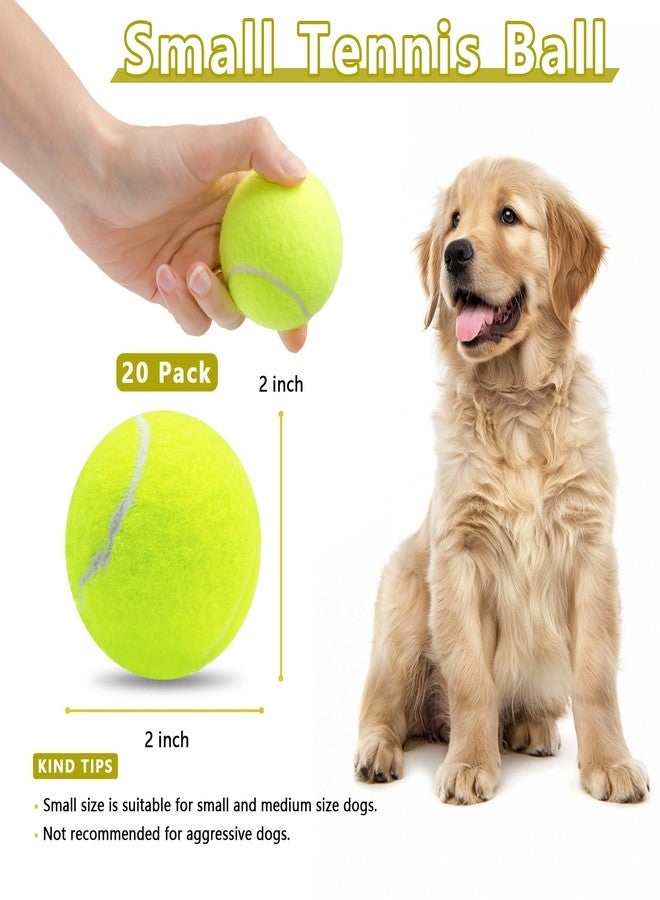 Magicorange مجموعة ماجيك أورانج المكونة من 20 كرة تنس صغيرة، كرة تنس تصدر صوتاً بحجم 2 بوصة للكلاب، كرات كلاب ملونة سهلة الإمساك تصدر صوتاً مع حقيبة شبكية لسهولة النقل (متعددة الألوان) - Image 2