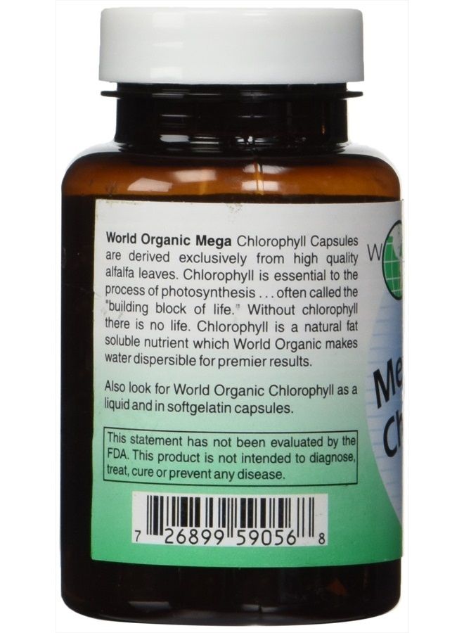 WORLD ORGANIC Chlorophyll 100 mg 60 Capsules, 0.02 Pound - Image 2