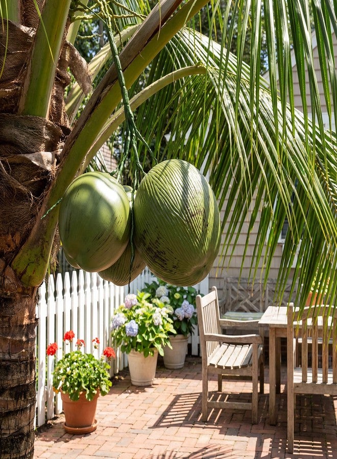 Novabright Fake Coconut, 1 Bunch Artificial Coconuts for Decoration, Lifelike Tropical Fake Green Coconuts Prop Artificial Fruit for Home Decoration Display Photo Prop (Three Coconut) - Image 5
