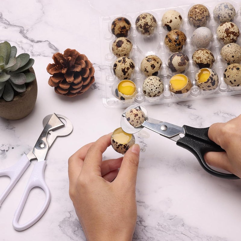 Ahier Adecco LLC Pigeon Quail Egg Cutter Scissors Stainless Steel Blades Bird Cutter 2 Pack (Quail Egg Scissor) - Image 2