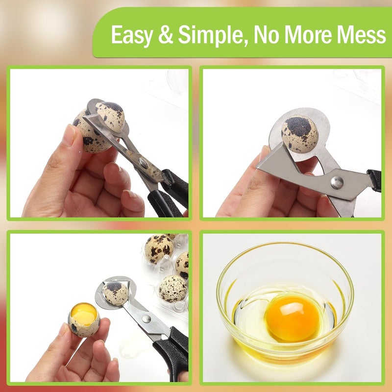 Ahier Adecco LLC Pigeon Quail Egg Cutter Scissors Stainless Steel Blades Bird Cutter 2 Pack (Quail Egg Scissor) - Image 5