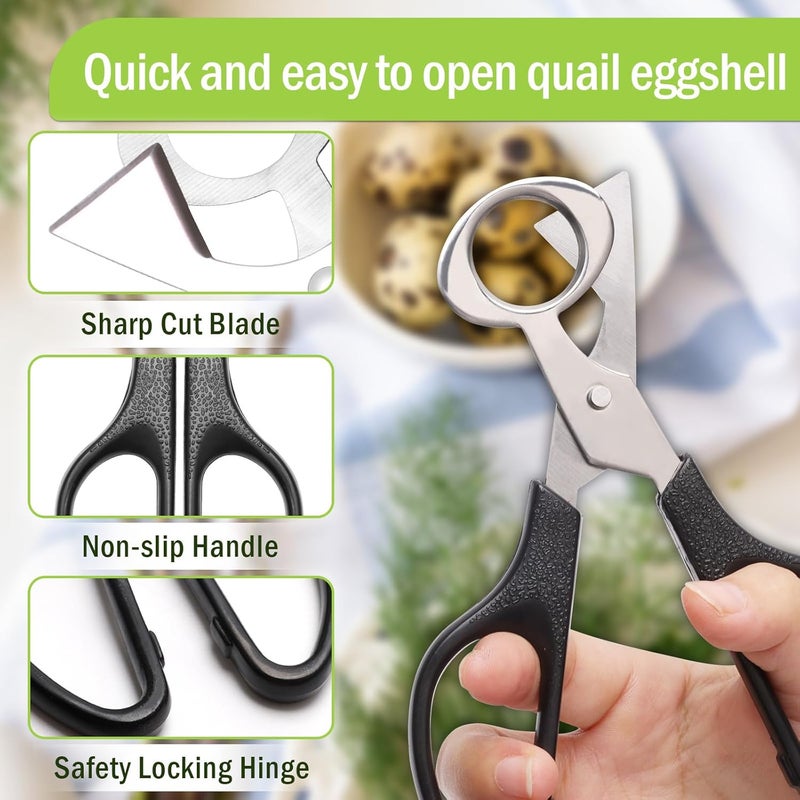 Ahier Adecco LLC Pigeon Quail Egg Cutter Scissors Stainless Steel Blades Bird Cutter 2 Pack (Quail Egg Scissor) - Image 4