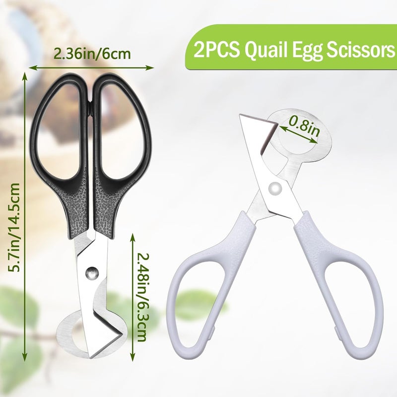 Ahier Adecco LLC Pigeon Quail Egg Cutter Scissors Stainless Steel Blades Bird Cutter 2 Pack (Quail Egg Scissor) - Image 3