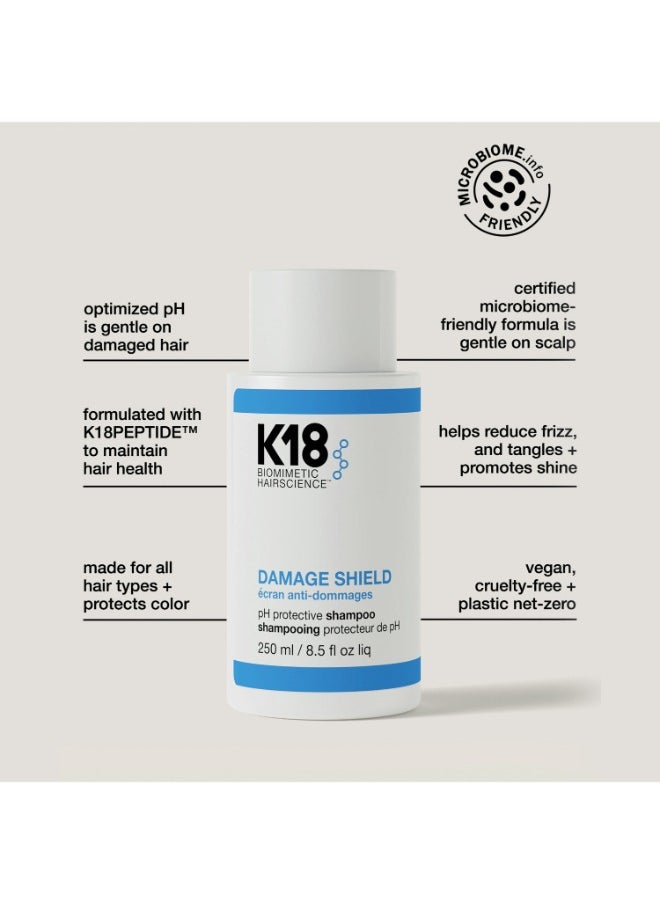 Damage Shield Shampoo + Damage Shield Conditioner 250ml - pzsku/Z585A998372FE4805F798Z/45/_/1731927667/45e243b1-4e4d-43b6-91be-04343583d89d