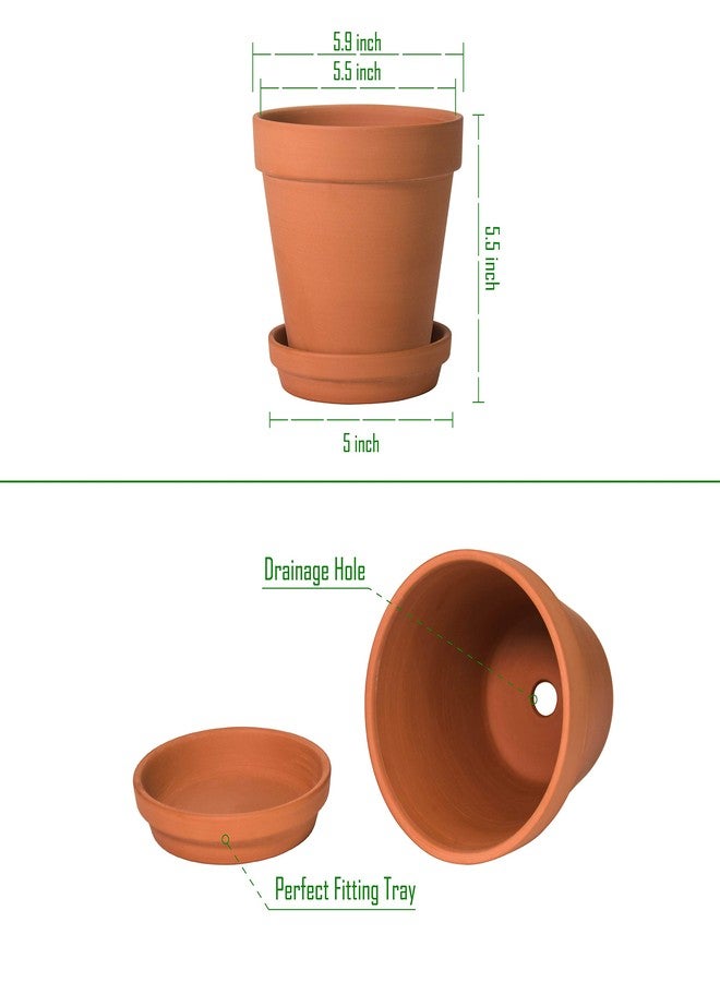 D'vine Dev Terracotta Pots Set, 6-Inch Terra Cotta Pots with Saucers & Tray, Ideal for Plants & Succulents - Image 4