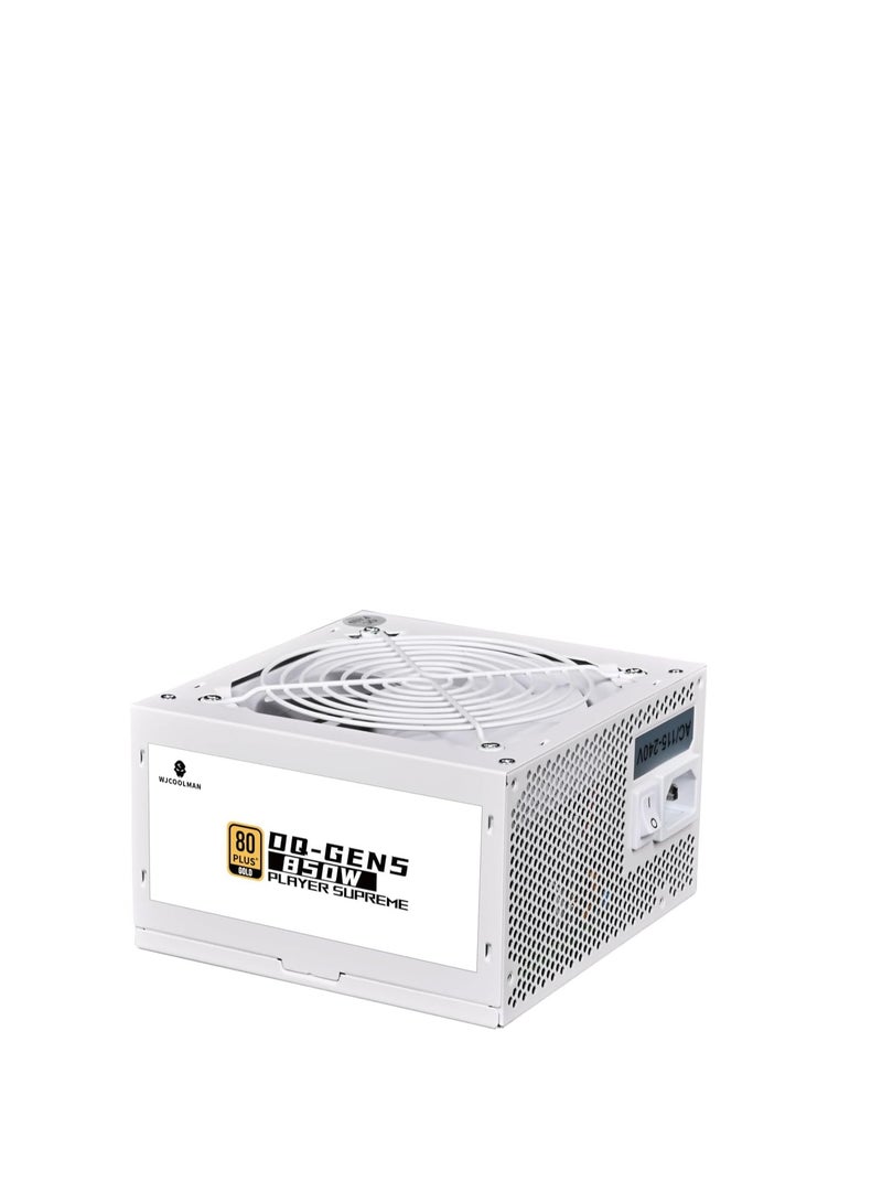 WJCOOLMAN مزود طاقة DQ1000 1000W 80+ ذهبى – ATX 3.0 و PCIe Gen 5 أسود (أسود) - Image 2