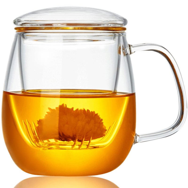 WHJY Glass Tea Cup with Infuser and Lid 18 ounce Glass Tea Cups with Strainer Loose Leaf Tea Cup Mug for One Leadfree Borosilicate Glass Teacups Heat Resistance Microwave  Dishwasher Safe
