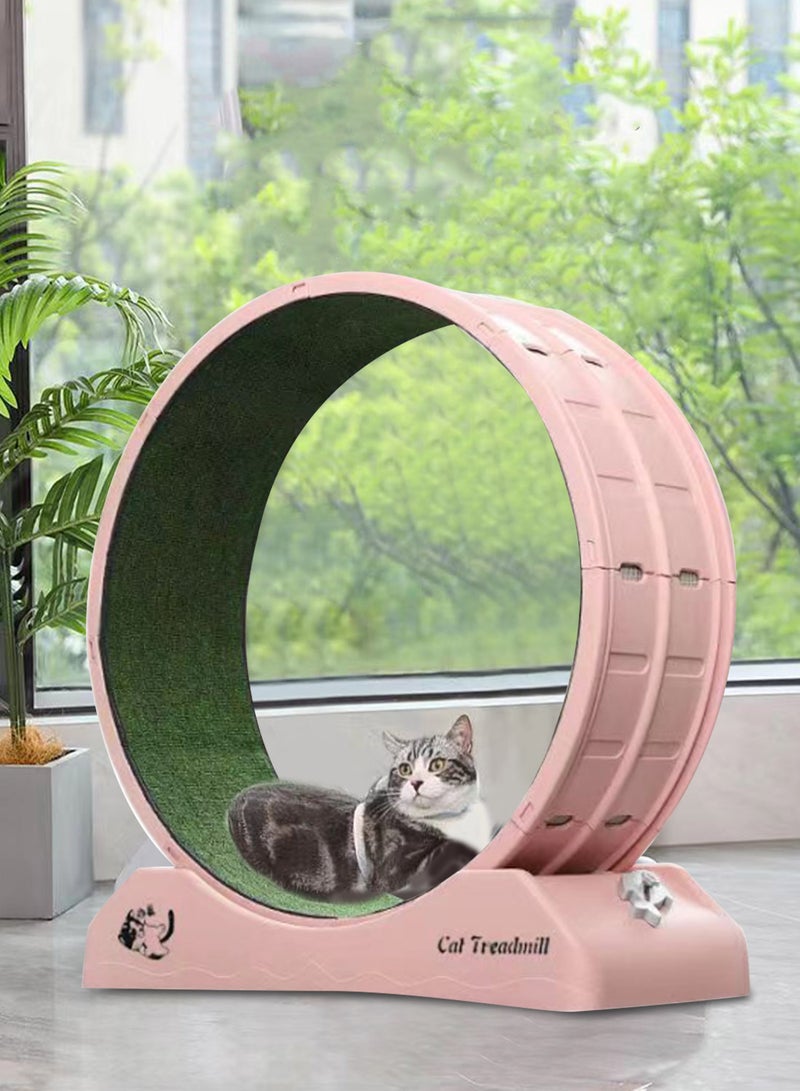 Kidle Portable Lightweight Cat Treadmill Cat Exercise Wheel for Fitness and Health Foldable Cat Running Wheel for Indoor Cats Suits for Most Cats - Image 5